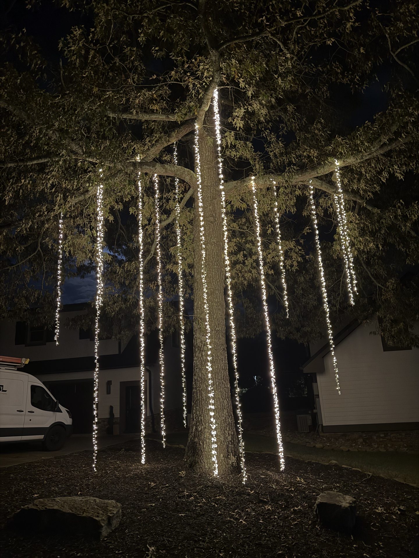 Tree uplighting around fire pit area