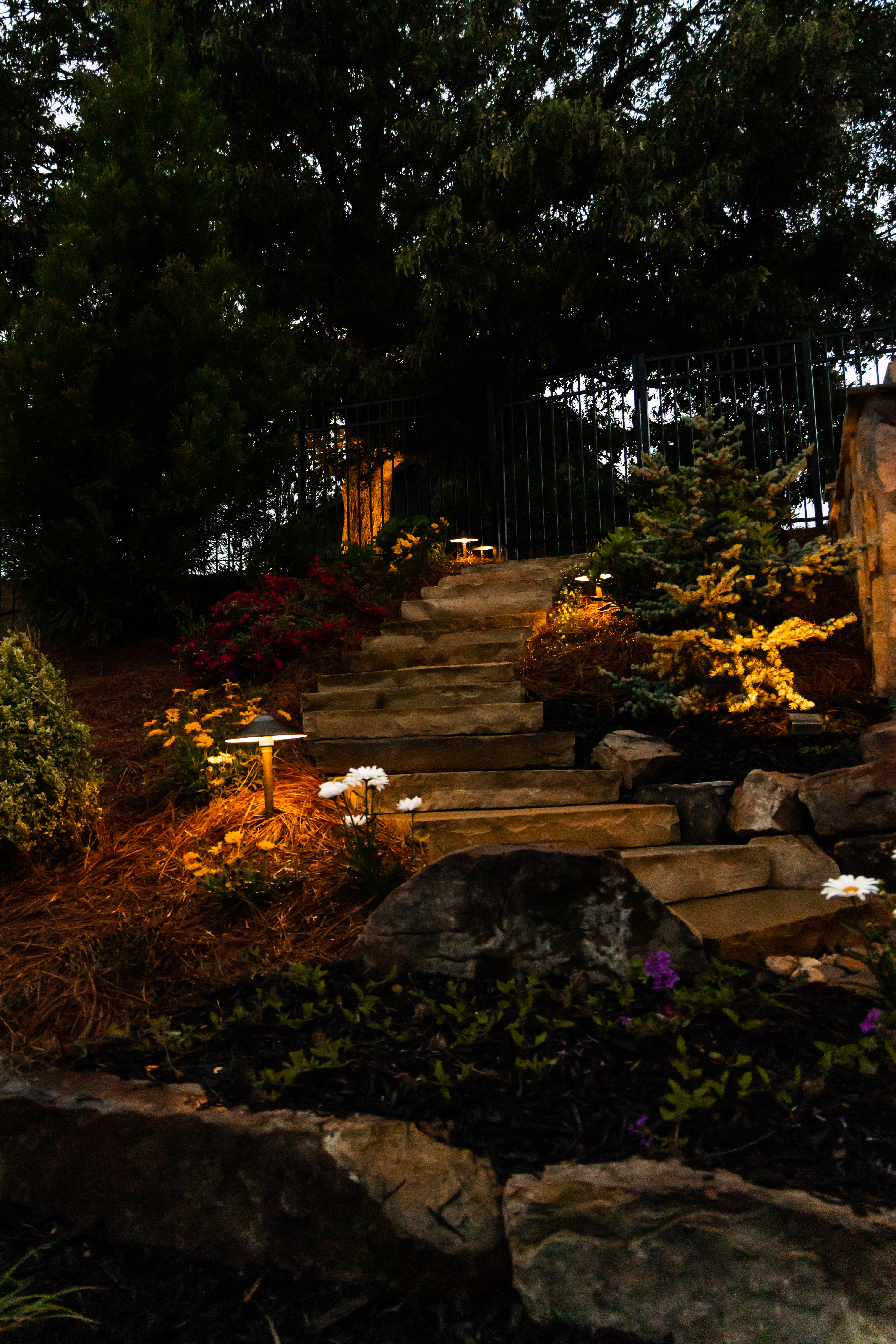 Lit pathway through a garden at night