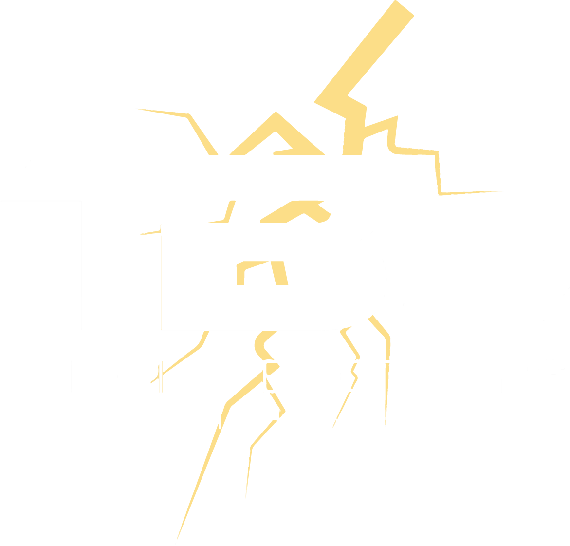 Thomas Brothers Lighting